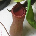 deroose-0712-1