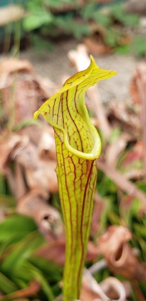 20201103_083445.jpg